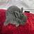 Mini Rex rabbits—of all colors and sizes. 21 thumbnail