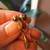 Vintage 18K Yellow Gold Earrings with Totally Different Design 1 thumbnail