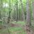 13 Acres Wooded Residential  Lots 10 thumbnail