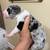 Great Dane male/female pups 8 thumbnail