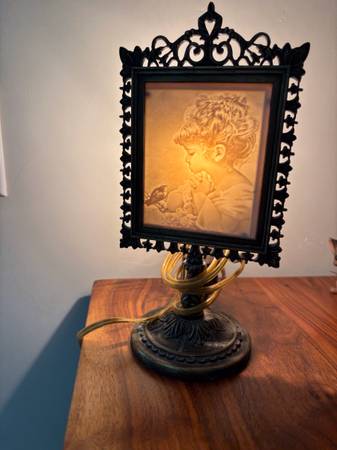 Beautiful Night Light 1