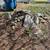 Junk Hope and Demolition LLC . Clean outs, Junk,Spring Cleaning? 12 thumbnail