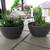 Pair Of Dark Gray Garden Pots With Succulents 1 thumbnail