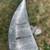 Very cool custom made Damascus steel walnut wood handle, mini skinner knife 3 thumbnail