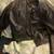 Motorcycle Leather Jacket & Pants 2 thumbnail