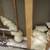 Heavenly handyman electrical plumbing etc. we do it all 4 thumbnail