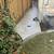 Tree Work, Gardening, Concrete Work, with recommendations carpenter, f 15 thumbnail