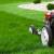 Gardening, Tree, Landscape, landscaping,Artificial Grass 8 thumbnail