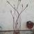 Occatillo  cactus  metal art sculptures  statues patio furniture 1 thumbnail