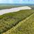 4.3 acres on Long Lake! 2 thumbnail