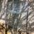 Window glass 1 thumbnail