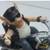 Ceramic Piggy Bank, silver banks, pig on motorcycle 5 thumbnail