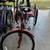 Schwinn Meridian Tricycle 4 thumbnail