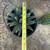 Agave queen victoria 3 thumbnail