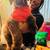 Newfiepoo (Newfoundland Poodle) Rehoming 4 thumbnail