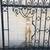 Impressive Michael Douglas Gates! 6 thumbnail