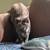 rehoming 2 thumbnail