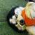 Pet 4 thumbnail