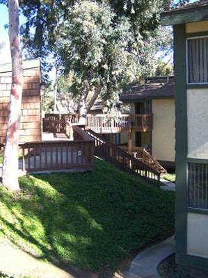 $2,995 / 3br - 1550ft2 - 3 Bedroom Townhouse! Park Like setting, Shaded Community!! (Oceanside)64037223885186124