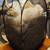 Big Agnes Tiger Wall UL2 Bikepack Tent + Footprint - Like New (Pitched Twice) 12 thumbnail