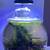 Very  nice one and a half gallon tank 3 thumbnail