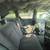 2006 *Dodge* *Caravan* *4dr SXT* Blue 5 thumbnail