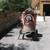 Cement mixer 2 thumbnail
