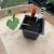 Pumpkins, Melons, Peppers, Blackberry Plants 6 thumbnail