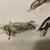 12 Name Brand Crankbait Lures 18 thumbnail