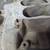Edelbrock Intake Manifold 3 thumbnail
