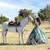 ⏩⏩⏩ WEDDING / QUINCEANERA PHOTOGRAPHER VIDEOGRAPHER - PHOTOGRAPHY 19 thumbnail