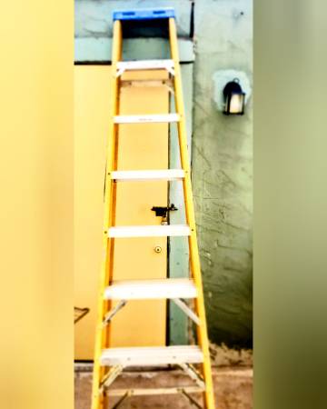 8ft Werner Ladder 1