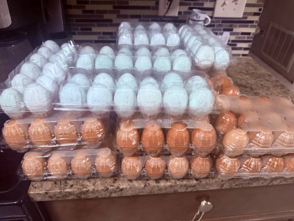 Eggs 1
