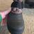 Pair of Boy's Winter Boots Size 1 11 thumbnail