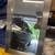 Two Pewter Medicine Cabinets 1 thumbnail