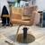 Salon Chair 4 thumbnail