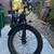 Puckipuppy Beagle E-Fatbike 1 thumbnail