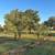 Oak Trees B&B 1 thumbnail