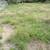 🌳Tree Service Cactus Service Brush clearing, 520 304 3677 12 thumbnail