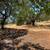 30 Acres Beautiful valley view 12 thumbnail