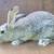 Flemish doe rabbit 2 thumbnail