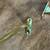 2pc Solid Brass Coat Rack 3 thumbnail