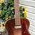 Silvertone  Archtop  H-710 1954 1 thumbnail