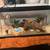 Reptile cage with accessories 3 thumbnail
