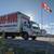 █ 🖤 █ Toronto Mover $54.50/hr! █ Call📞 TXT WhatsApp (416) 875-6683 1 thumbnail