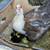 Muscovy ducklings 1 thumbnail