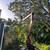 Tree Service in Sarasota looking for skilled ground person 2 thumbnail