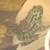 Fire-bellied Toads 3 thumbnail