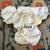 Cloth Diapers by Type - Thirsties, Rumparooz, etc 9 thumbnail