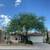 Tree Service / yard maintenance / tree and shrub planting / feeding 2 thumbnail